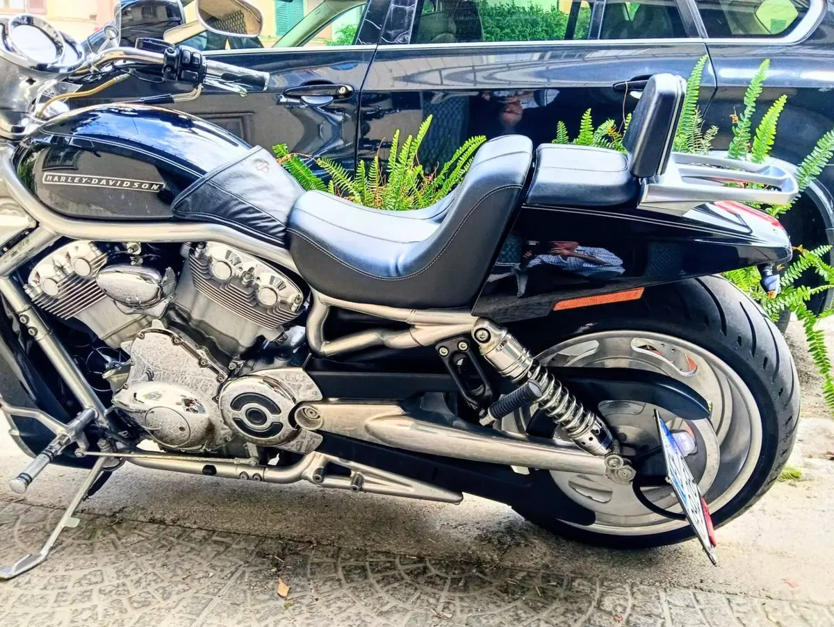 Harley-Davidson 1130 V-Rod (2007) - VRSCAW (3)