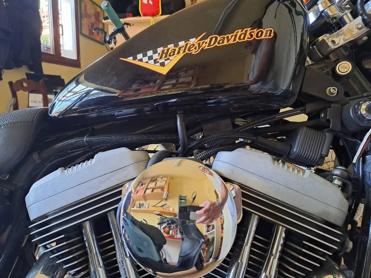 Harley-Davidson 1200 Roadster (2002 - 05) - XL 1200R (2)