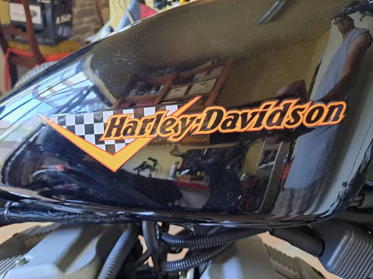 Harley-Davidson 1200 Roadster (2002 - 05) - XL 1200R (3)