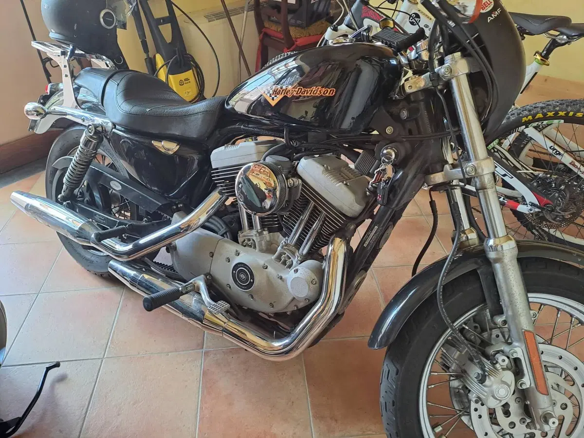 Harley-Davidson 1200 Roadster (2002 - 05) - XL 1200R (5)