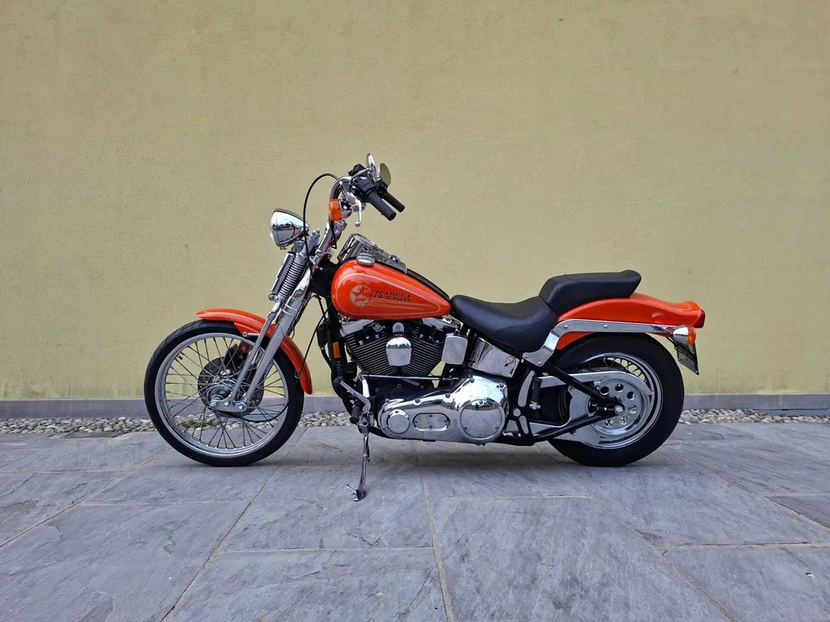 Harley-Davidson Softail Springer FXSTS (4)