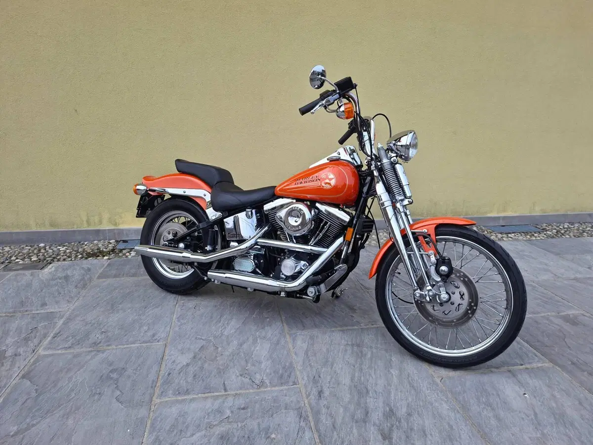 Harley-Davidson Softail Springer FXSTS (6)