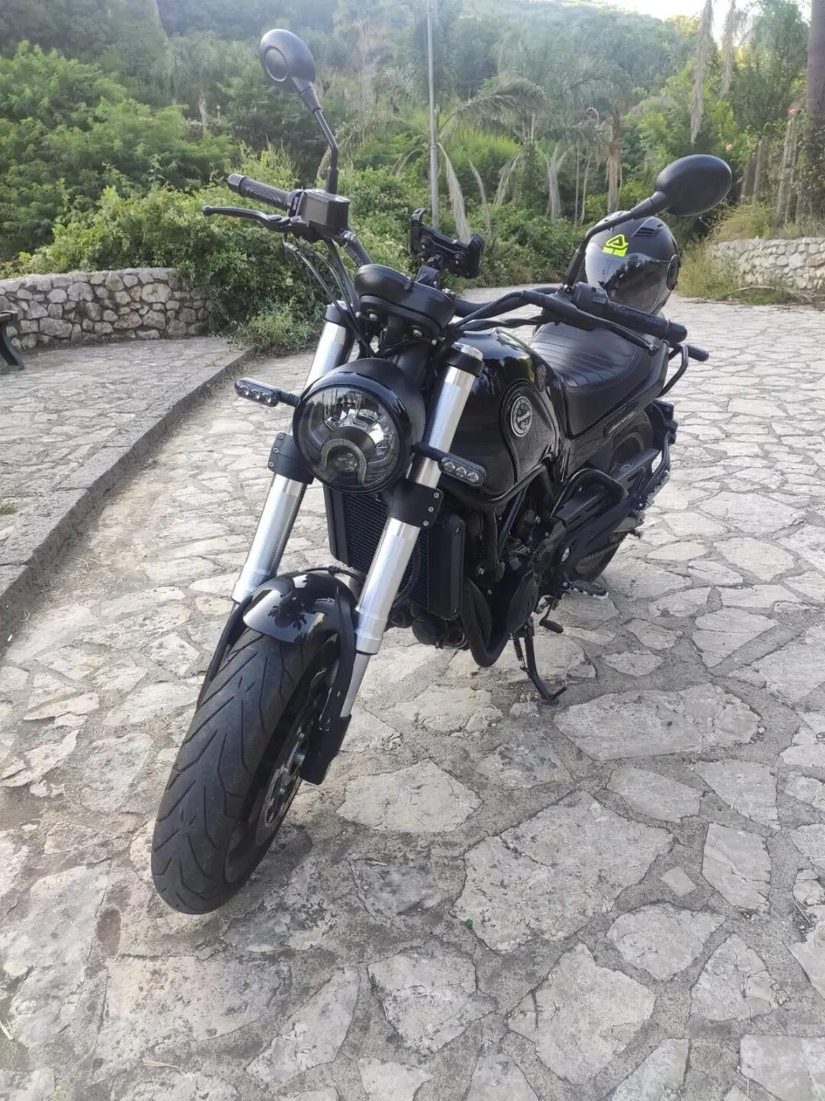 Benelli Leoncino 500 (2021 - 25) (4)
