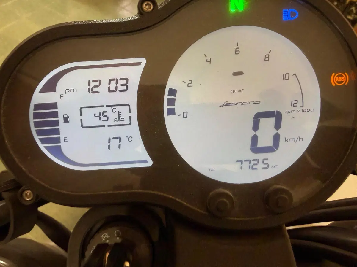 Benelli Leoncino 500 (2021 - 25) (8)