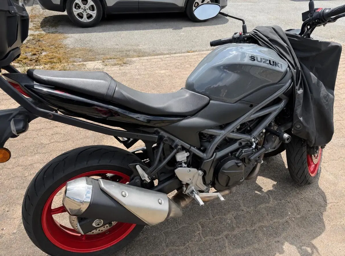 Suzuki SV650 (2021 - 24) (2)