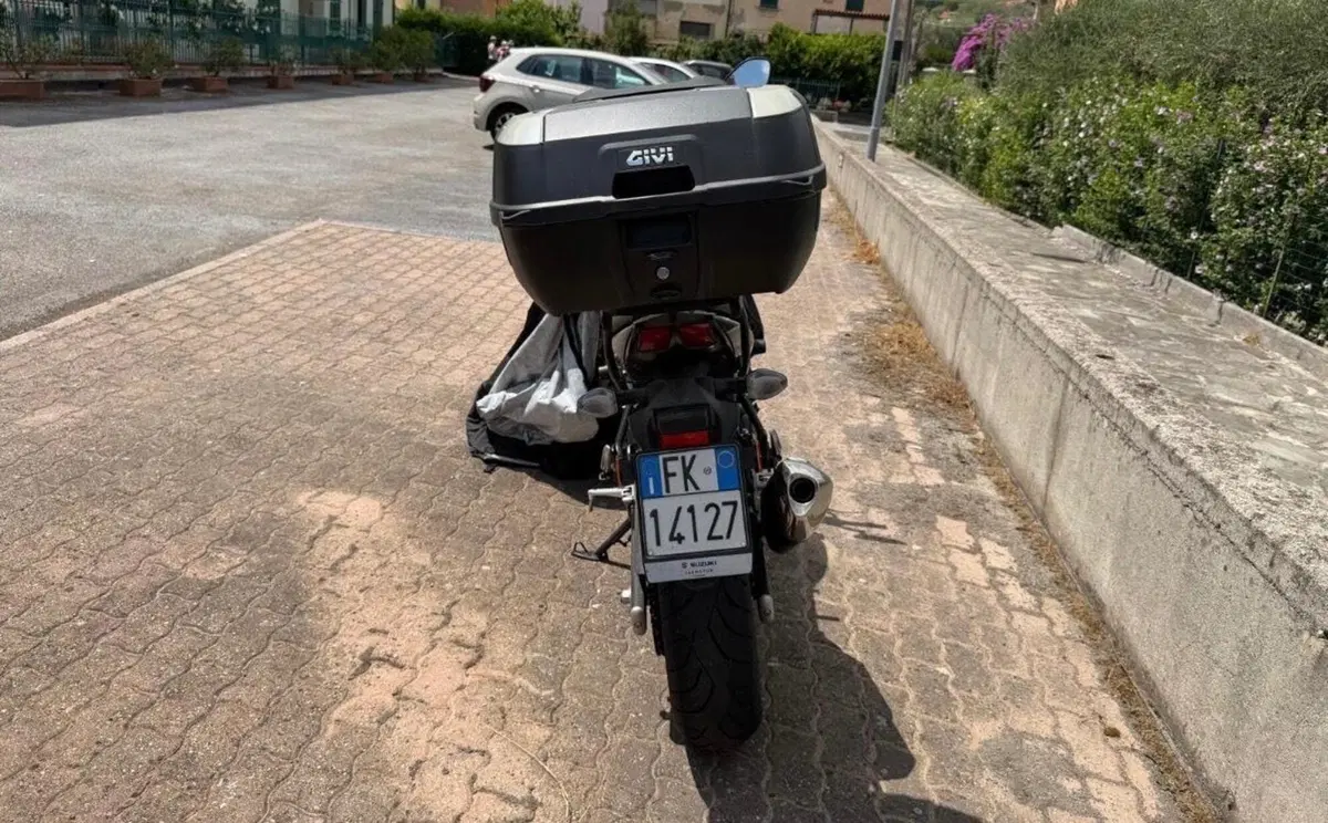 Suzuki SV650 (2021 - 24) (4)