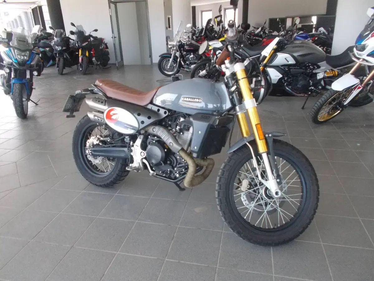 Fantic Motor Caballero 500 Flat Track (2021 - 24)