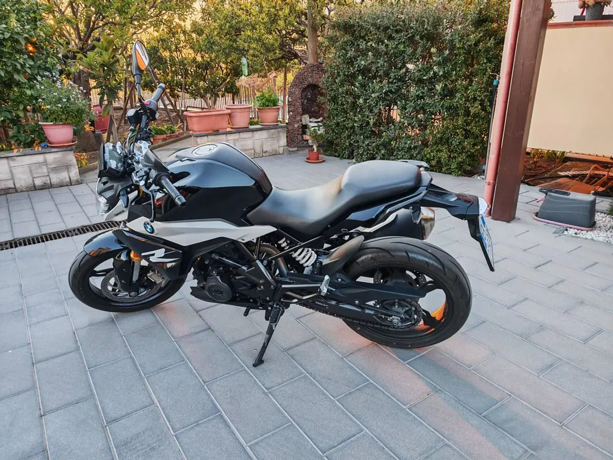 Bmw G 310 R (2021 - 25) (5)