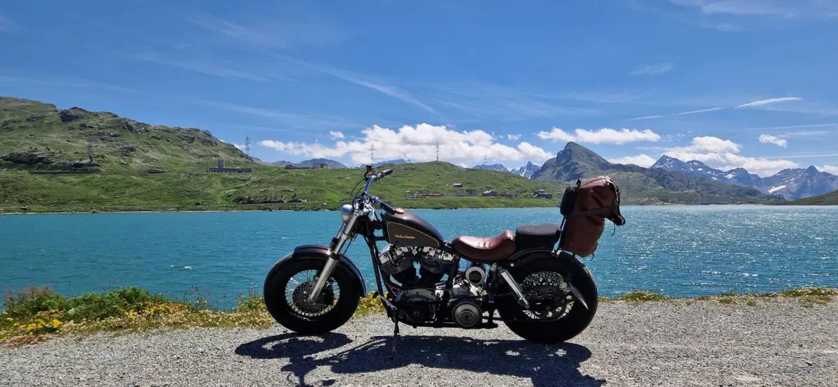 Harley-Davidson flh shovel head shovelhead
