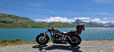 Harley-Davidson flh shovel head shovelhead d'epoca
