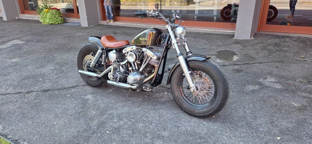 Harley-Davidson flh shovel head shovelhead (6)