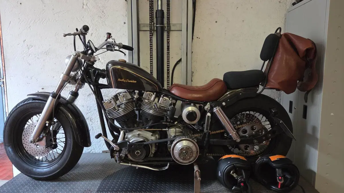 Harley-Davidson flh shovel head shovelhead (8)