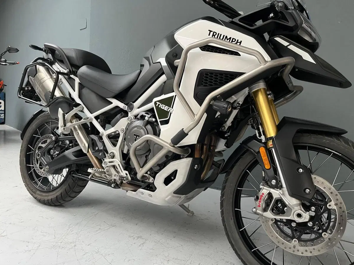 Triumph Tiger 1200 Rally Explorer (2024 - 26) (4)