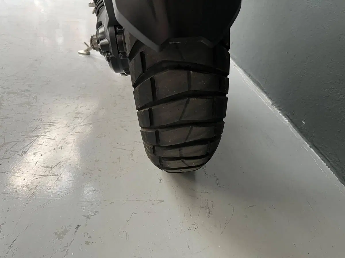 Triumph Tiger 1200 Rally Explorer (2024 - 26) (9)