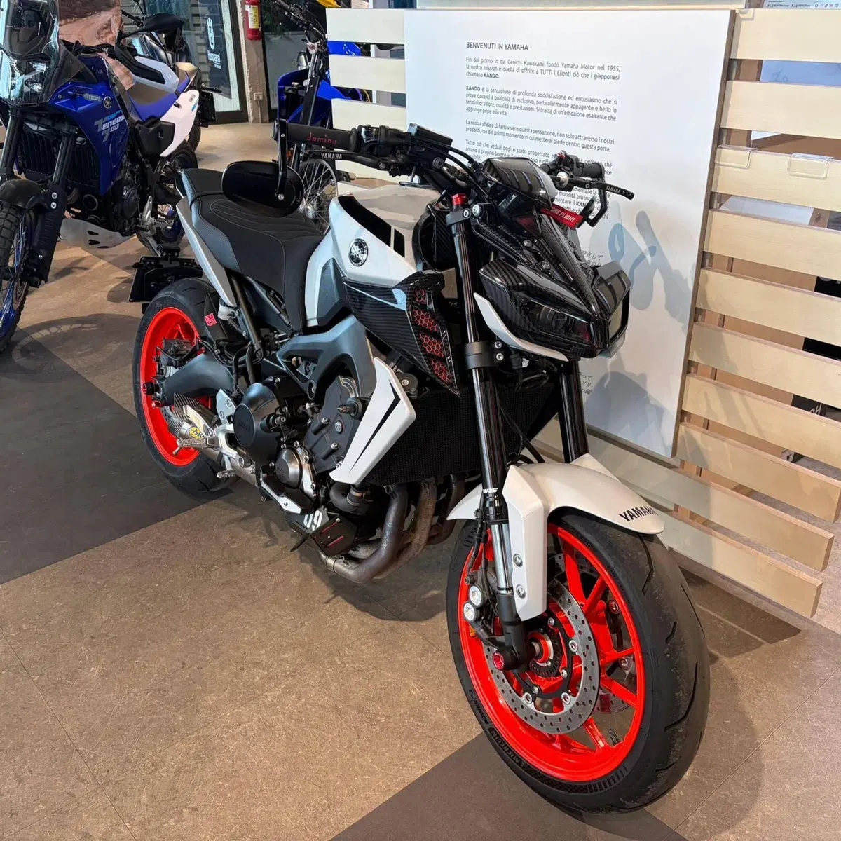 Yamaha MT-09 (2017 - 20) (6)
