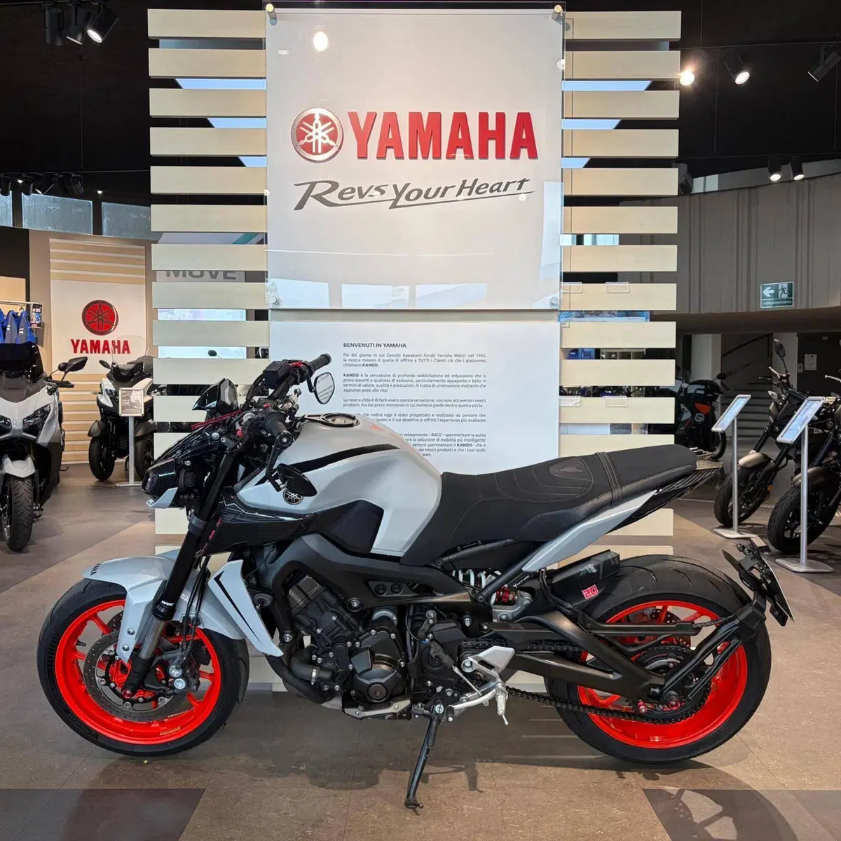 Yamaha MT-09 (2017 - 20) (8)