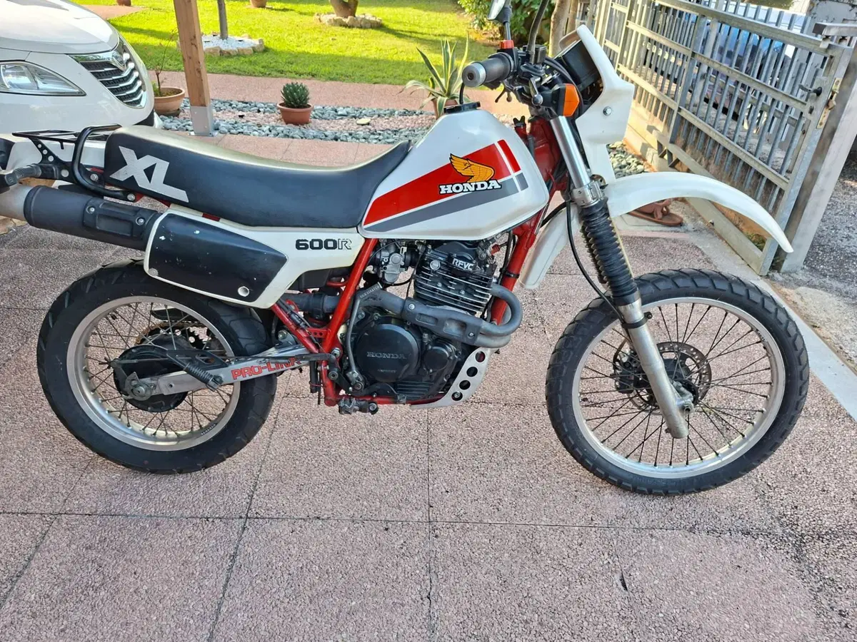 Honda Xl (3)