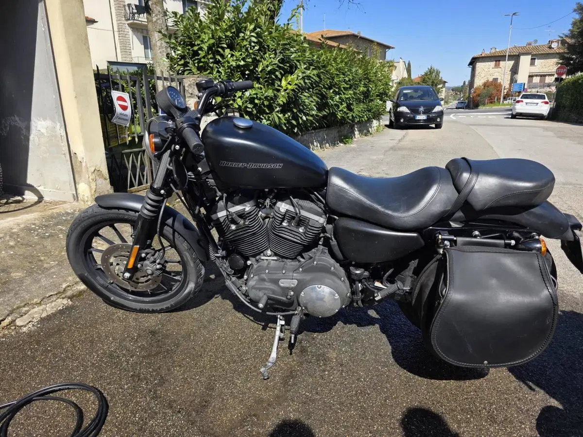 Harley-Davidson 883 Iron (2009 - 11) - XL 883N (2)