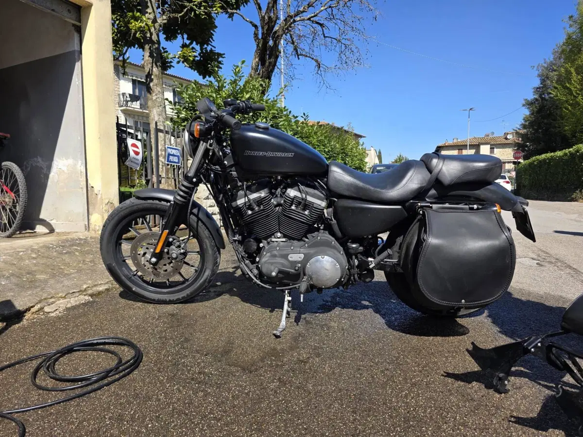 Harley-Davidson 883 Iron (2009 - 11) - XL 883N (3)