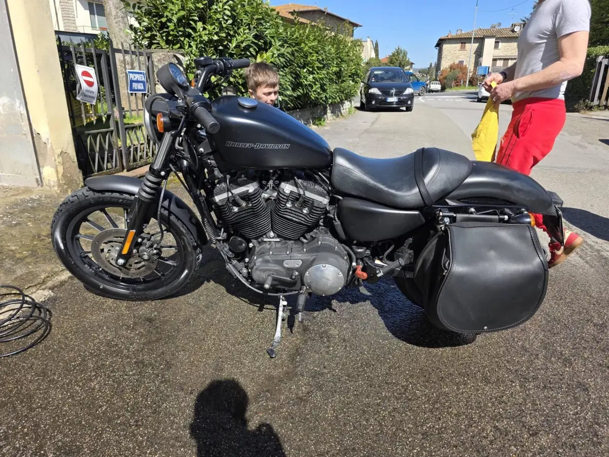 Harley-Davidson 883 Iron (2009 - 11) - XL 883N (4)