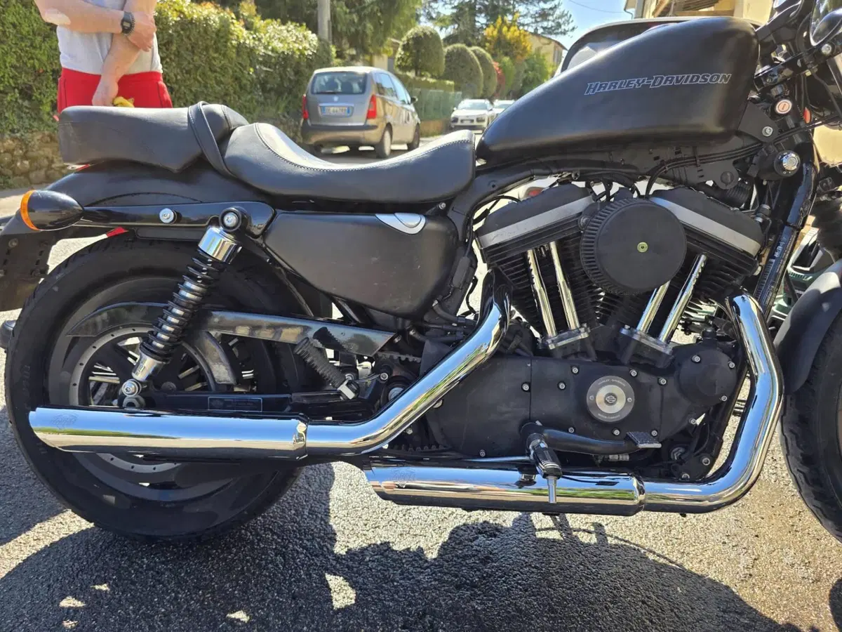 Harley-Davidson 883 Iron (2009 - 11) - XL 883N (6)