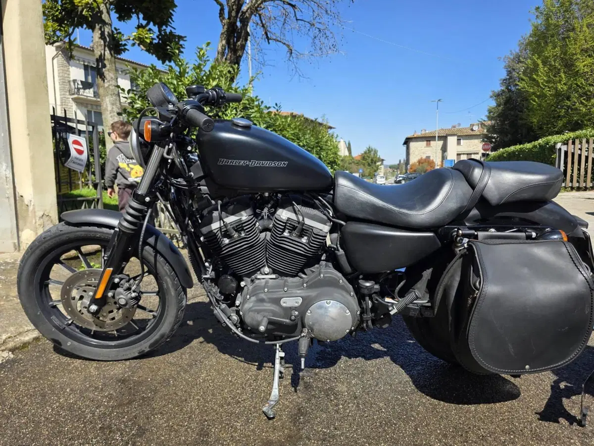 Harley-Davidson 883 Iron (2009 - 11) - XL 883N (7)