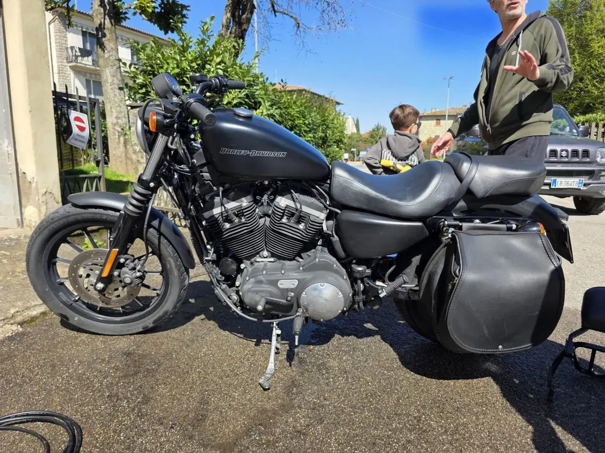 Harley-Davidson 883 Iron (2009 - 11) - XL 883N (8)