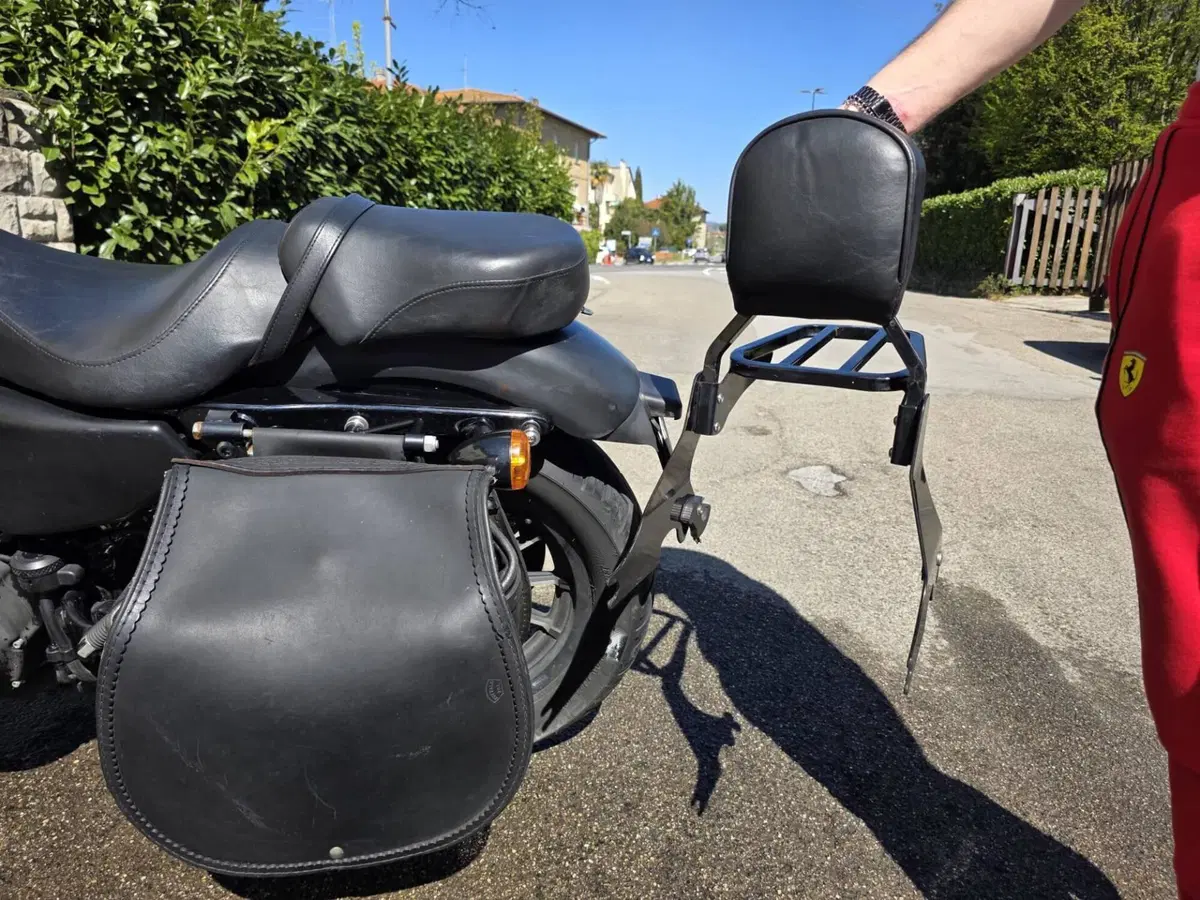 Harley-Davidson 883 Iron (2009 - 11) - XL 883N (15)
