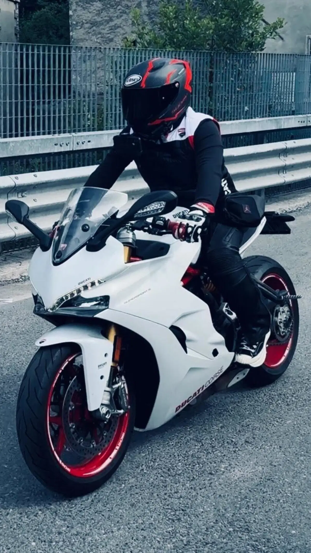 Ducati SuperSport 939 S (2017 - 20) (2)