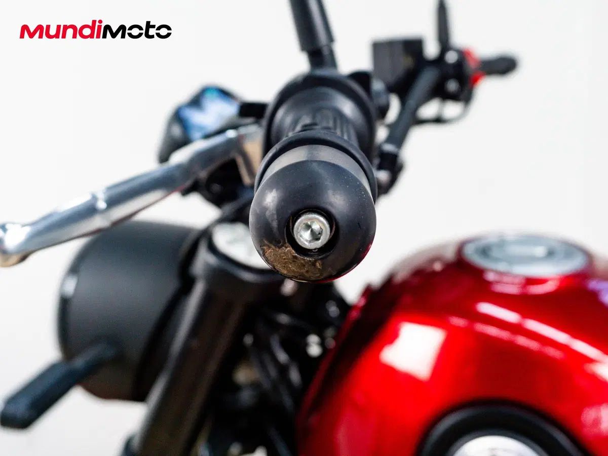 Benelli Leoncino 500 Trail (2021 - 26) (13)