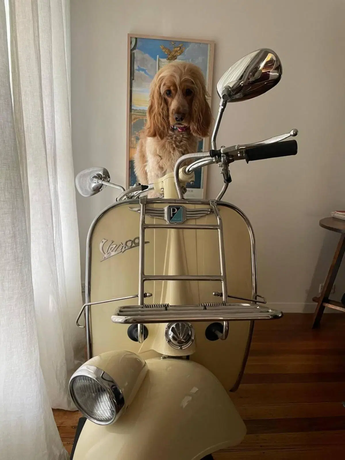 Vespa Vespa d'epoca 1957 (2)