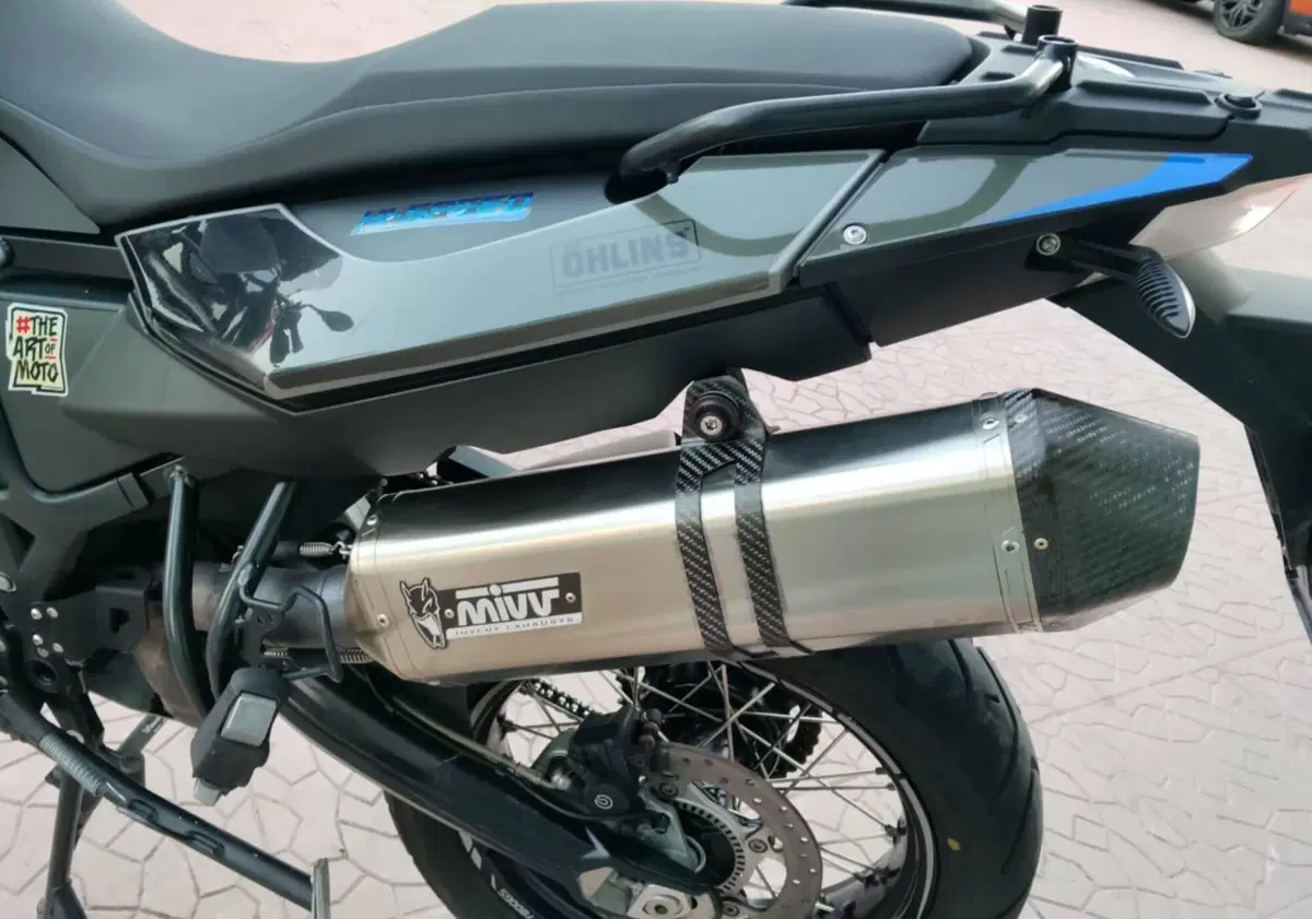 Bmw F 800 GS (2008 - 15) (8)
