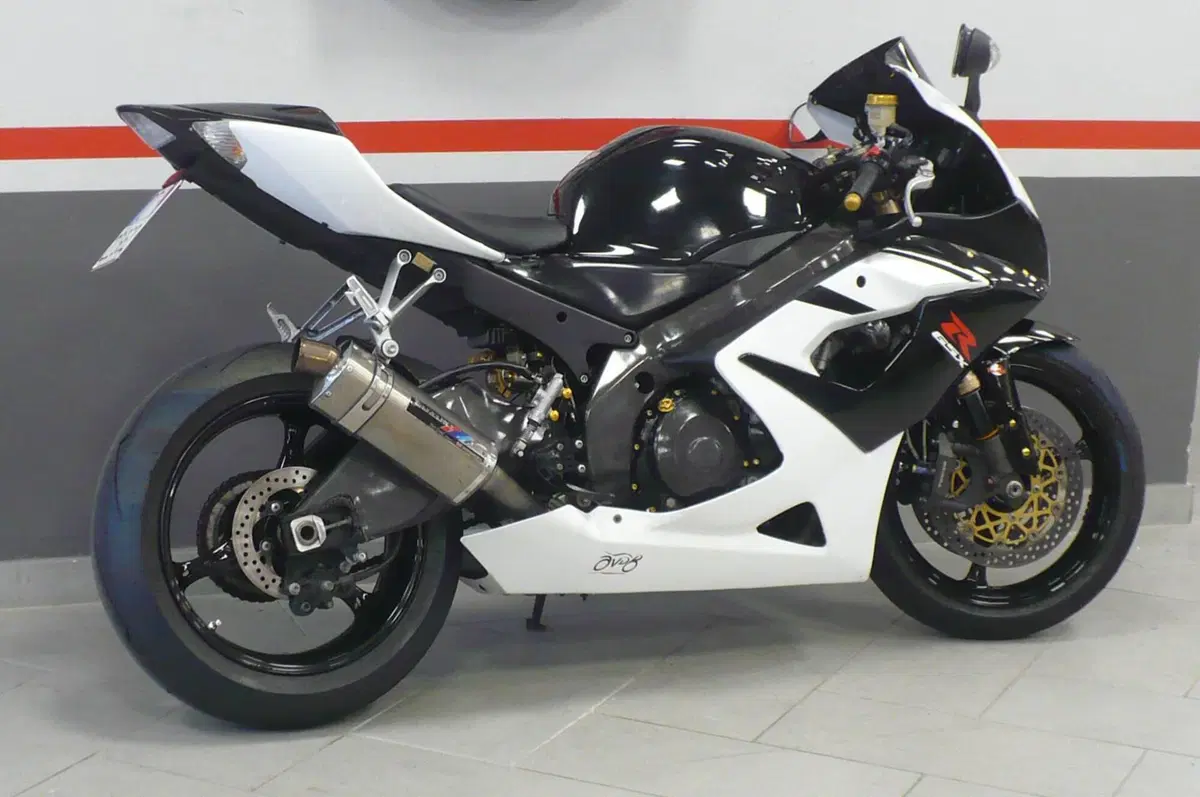 Suzuki GSX-R1000 (2006 - 08) (5)