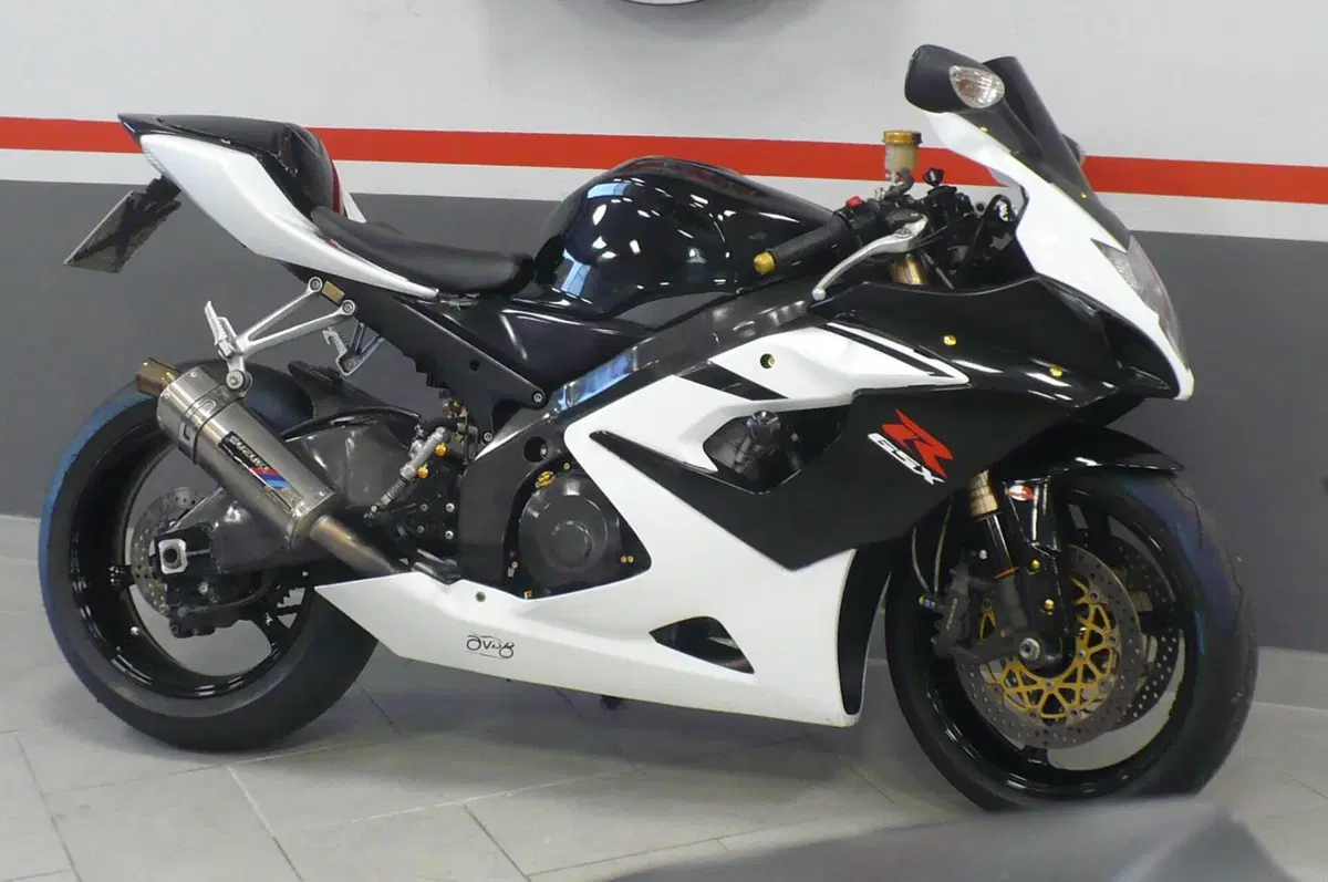 Suzuki GSX-R1000 (2006 - 08) (6)