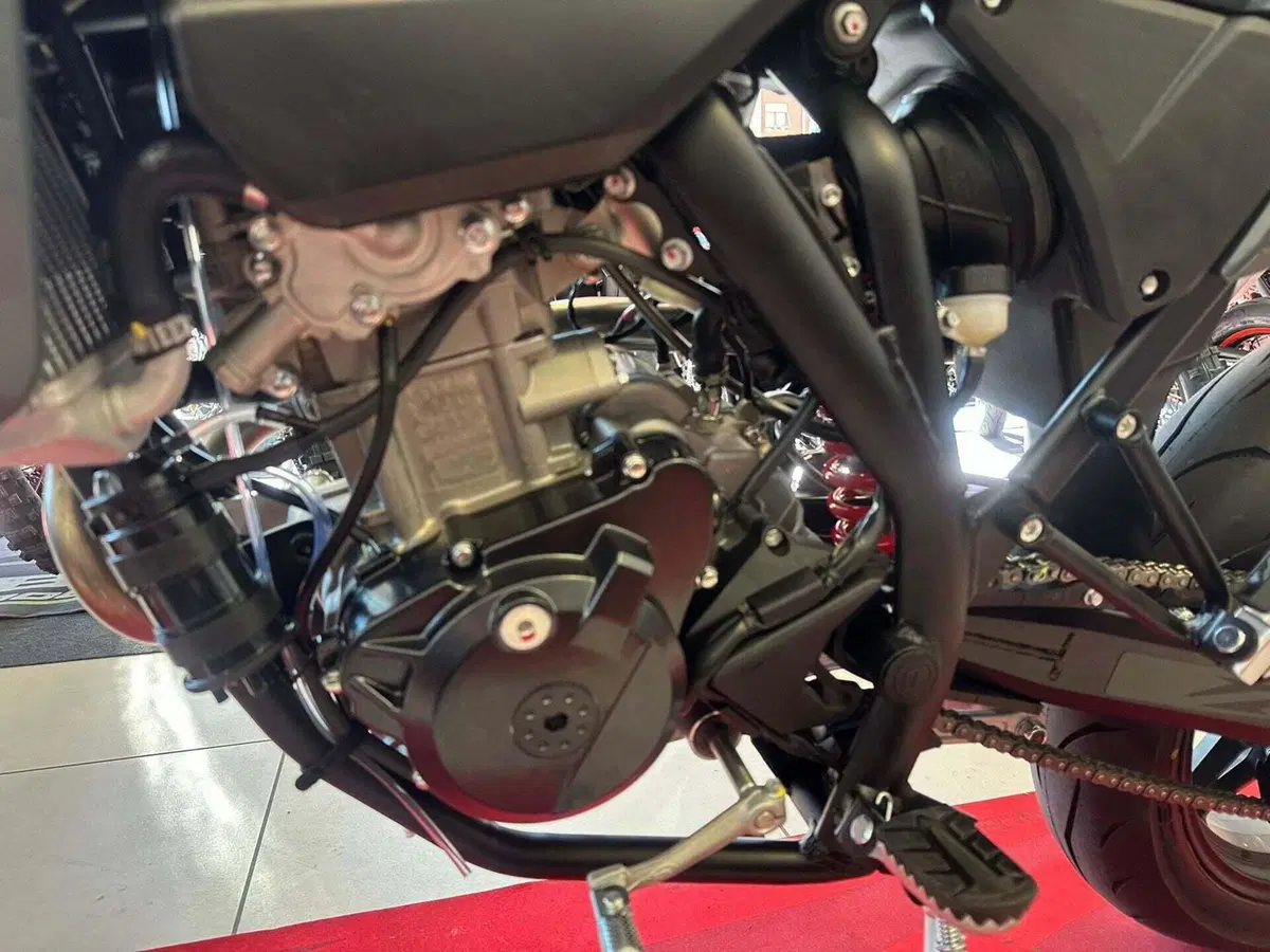 Betamotor RR 125 4T Motard T - X Special Edition (2025 - 26) (13)