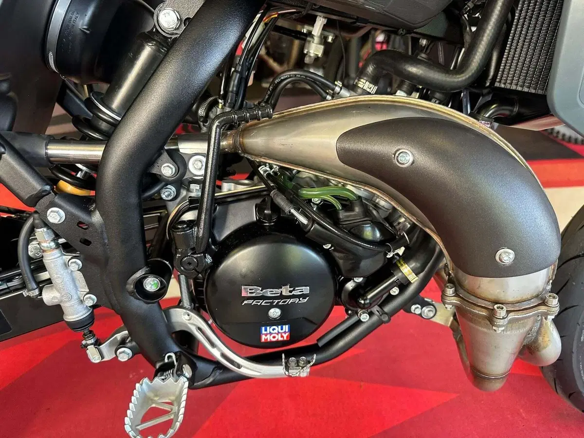 Betamotor RR 50 Motard - X Special Edition (2024 - 26) (13)