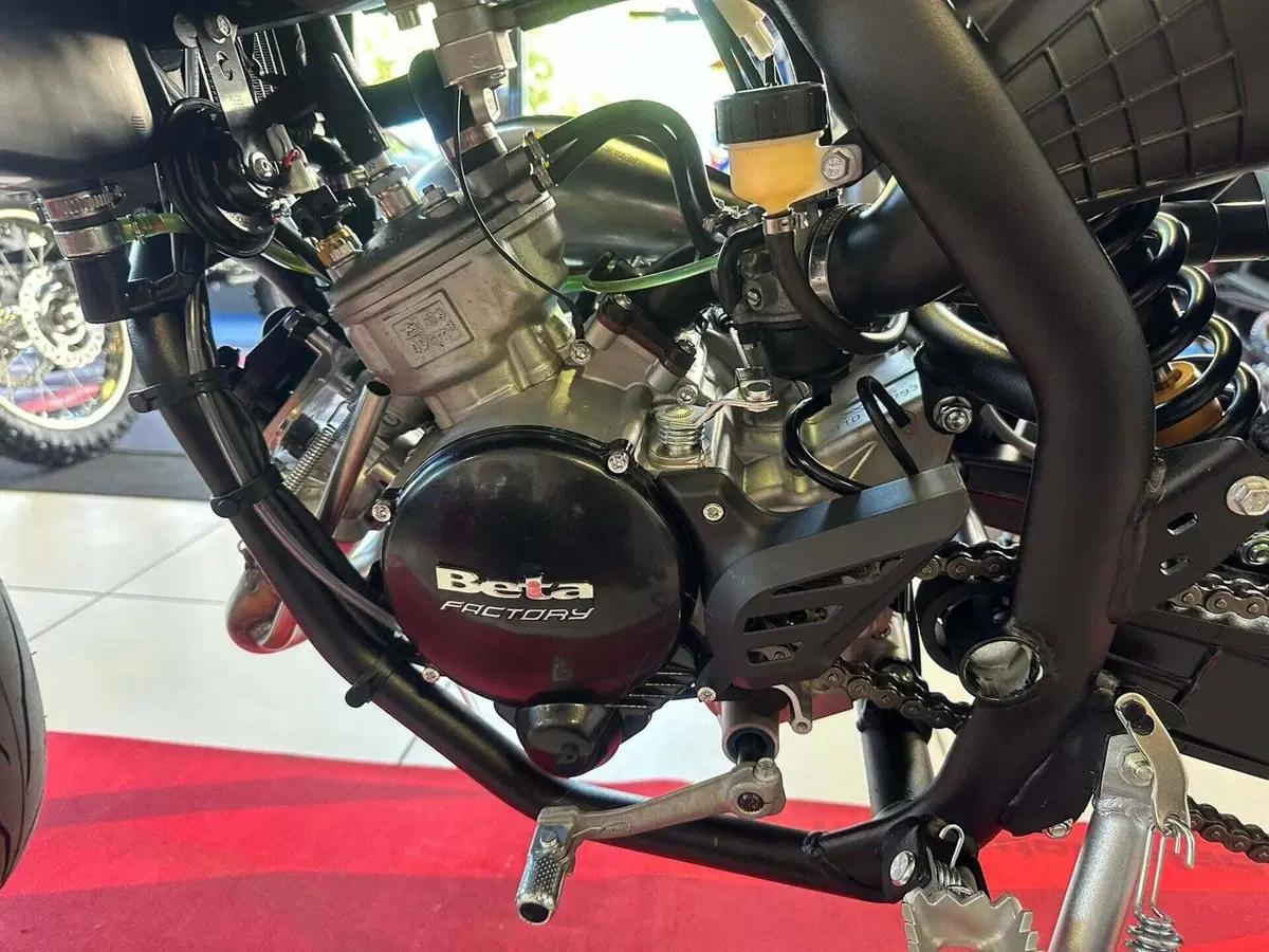 Betamotor RR 50 Motard - X Special Edition (2024 - 26) (15)