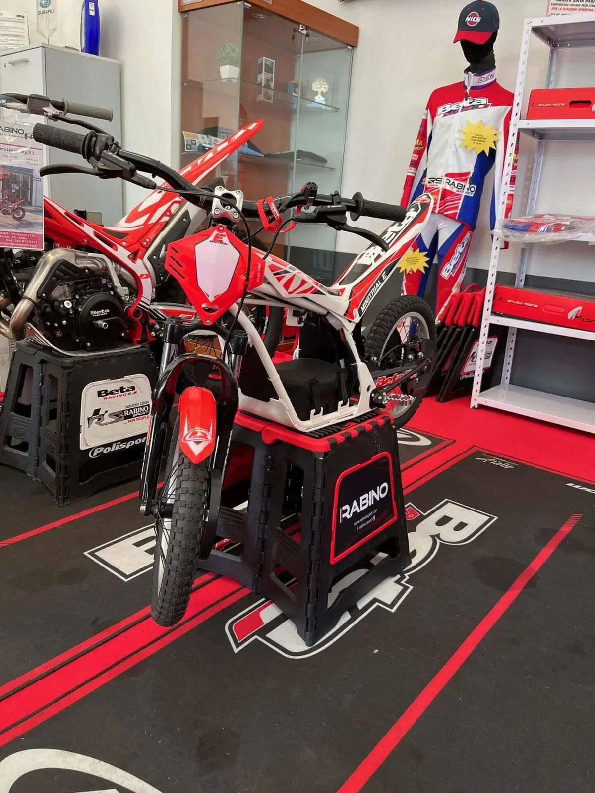 Betamotor Minitrial Electric 16" (2014 - 26) (9)