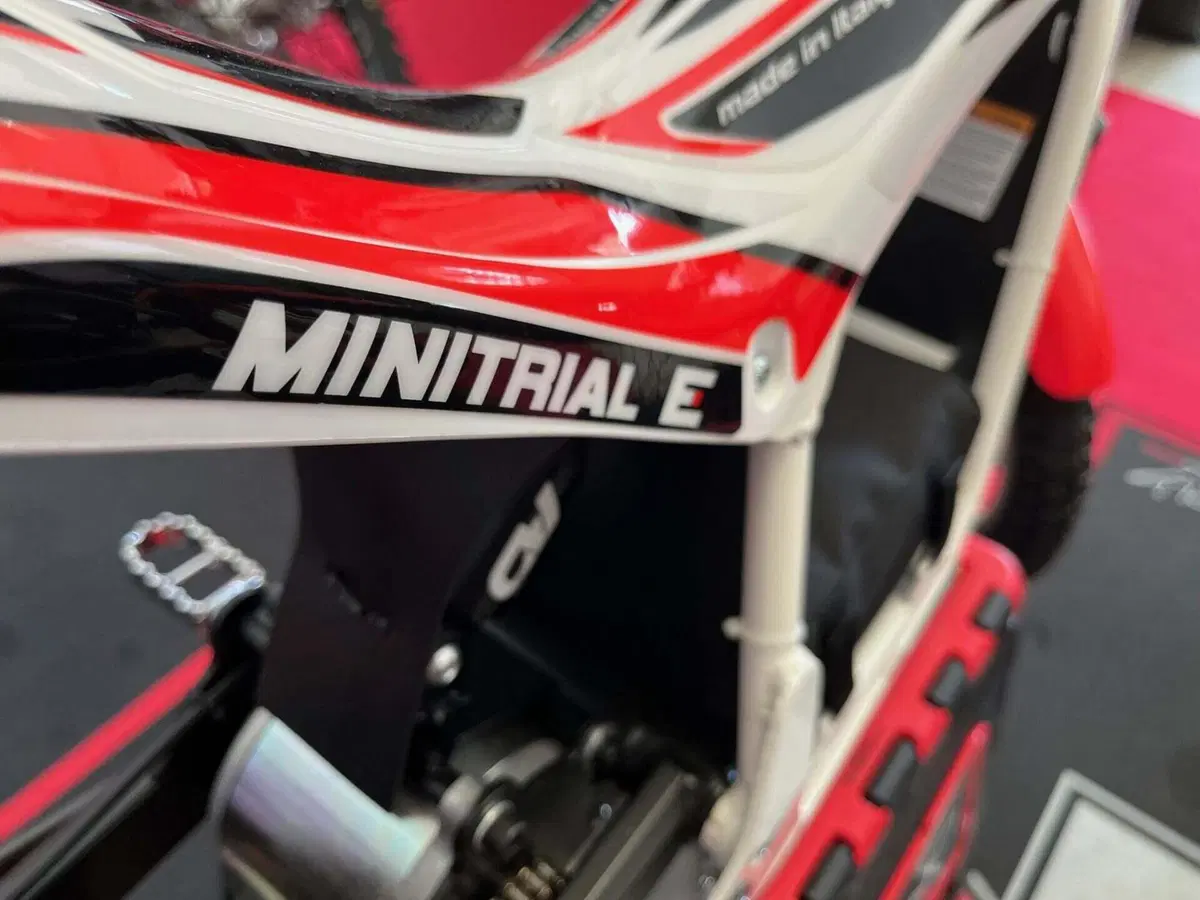 Betamotor Minitrial Electric 16" (2014 - 26) (10)