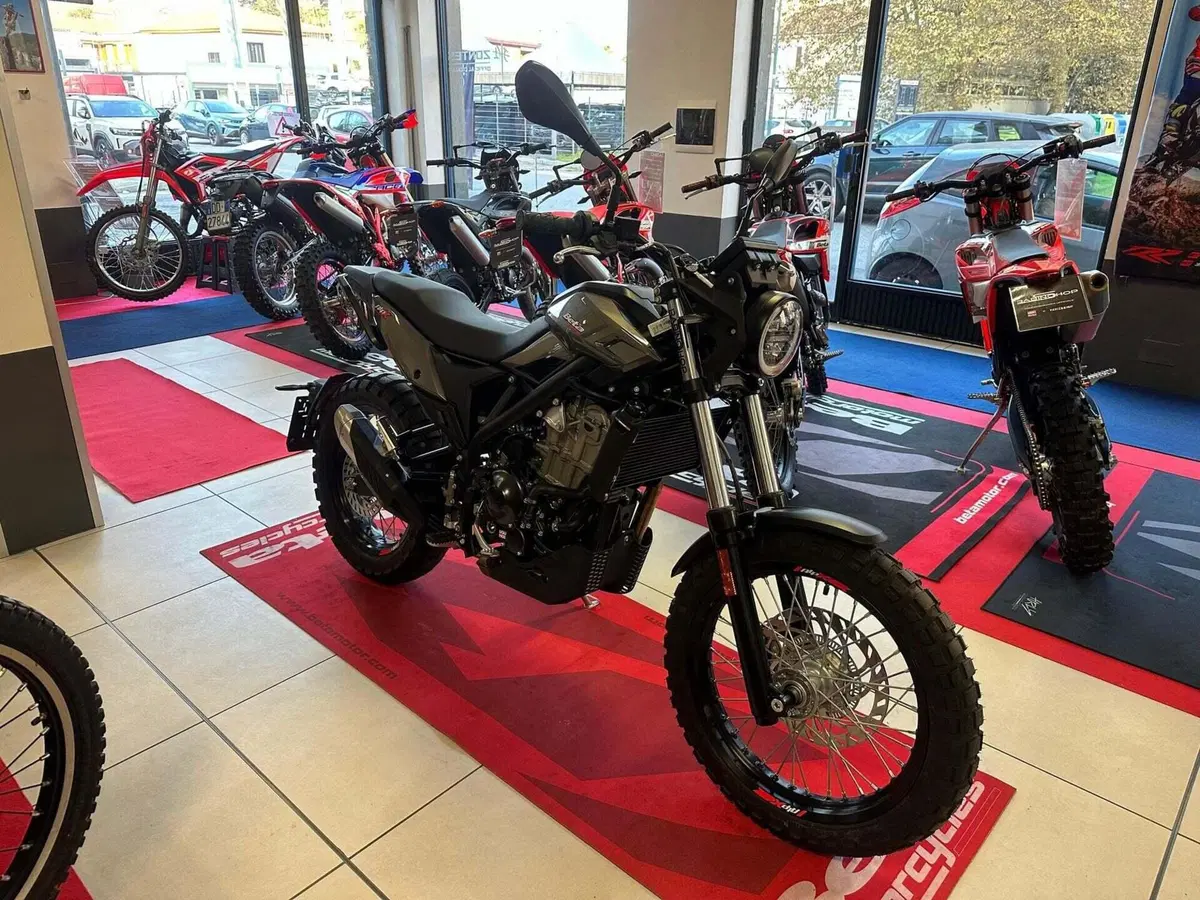 Betamotor Alp X (2024 - 26) (3)