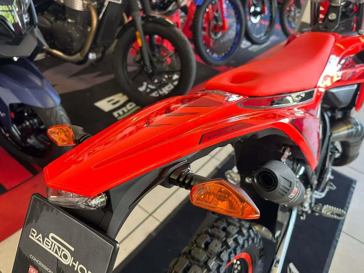 Betamotor RR 50 Enduro Sport (2021 - 26) (13)