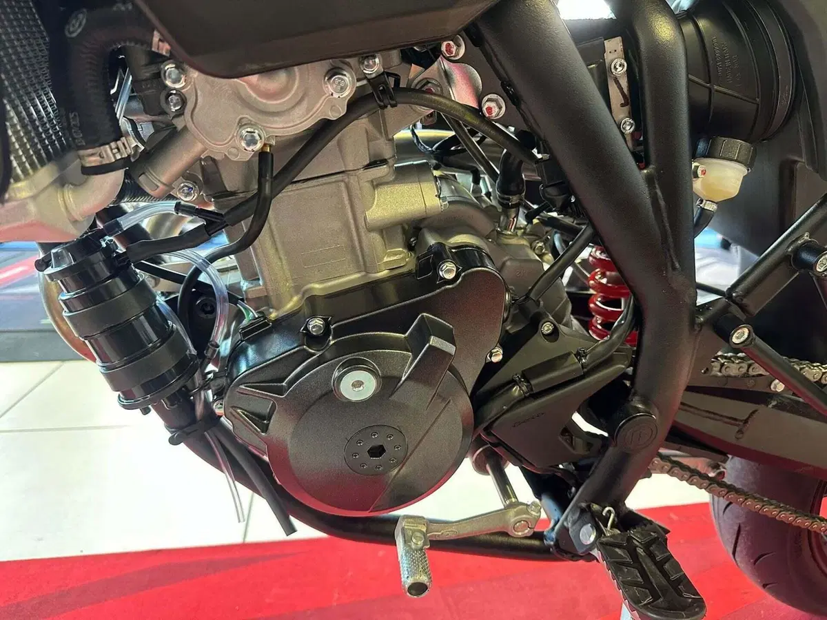 Betamotor RR 125 4T Motard T (2025 - 26) (14)