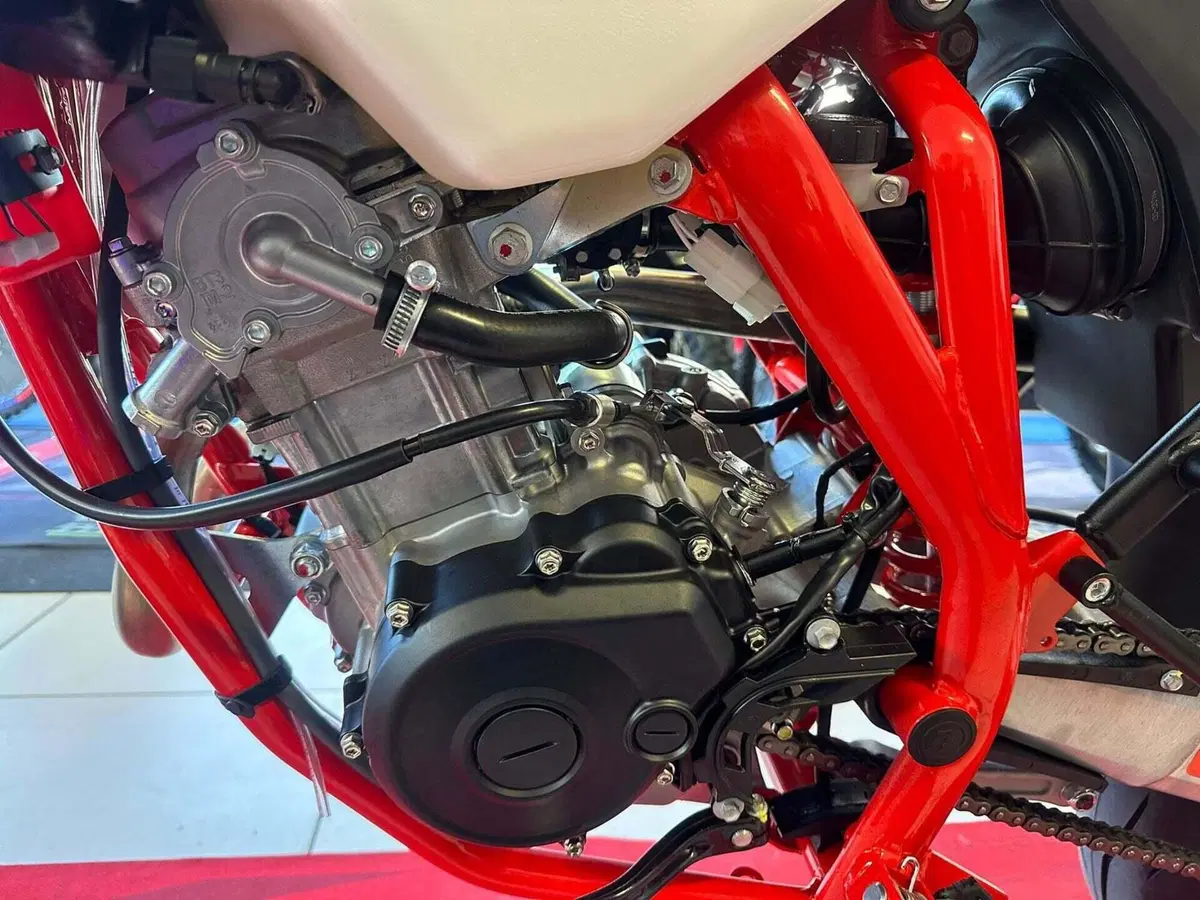 Betamotor RR 125 4T Motard R (2025 - 26) (14)