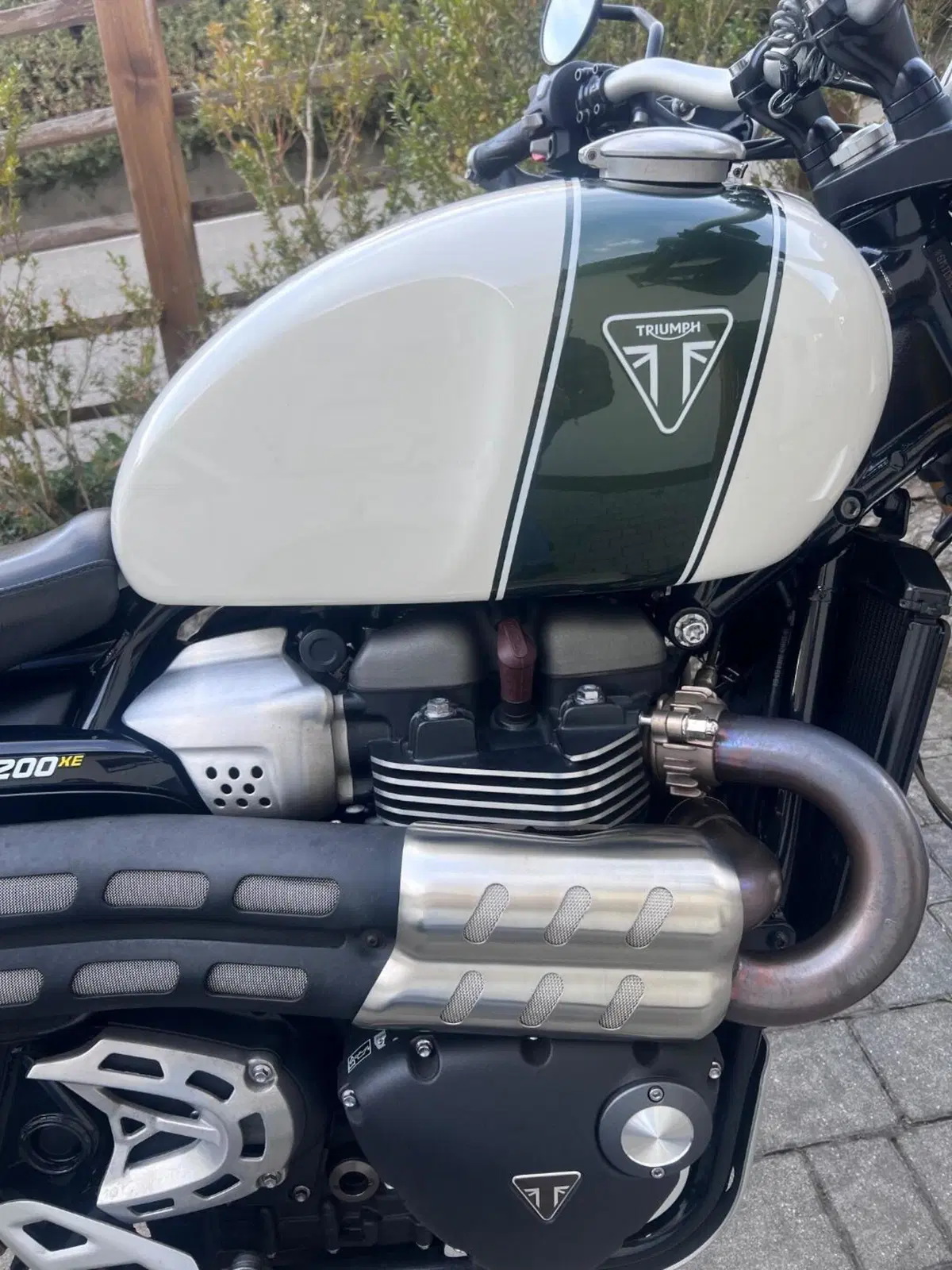 Triumph Scrambler 1200 XE (2019 - 20) (5)