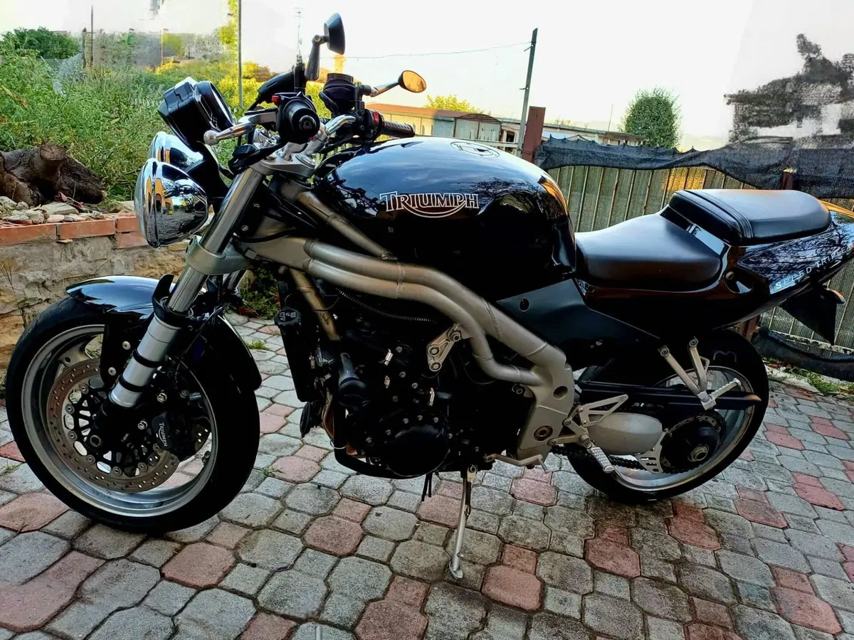 Triumph Speed Triple 955 (2002 - 04) (2)