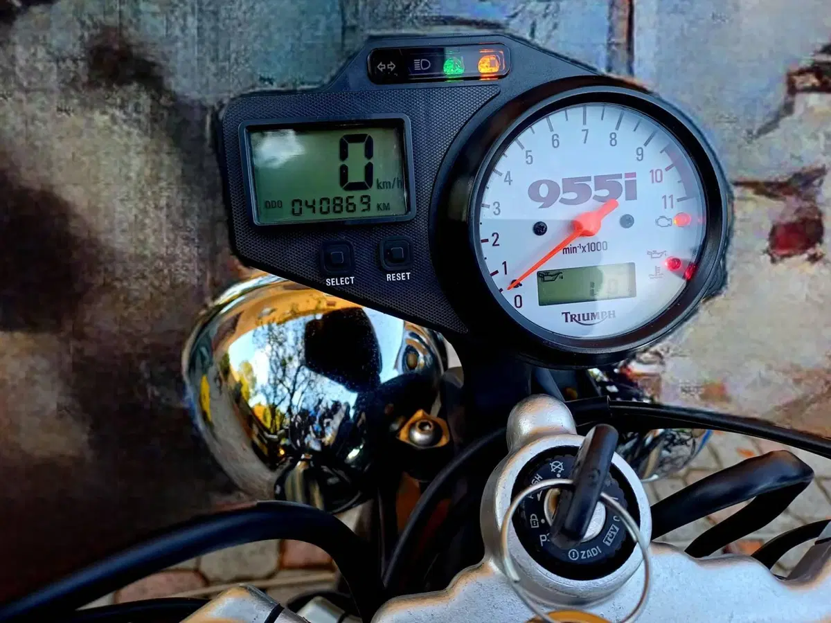 Triumph Speed Triple 955 (2002 - 04) (3)