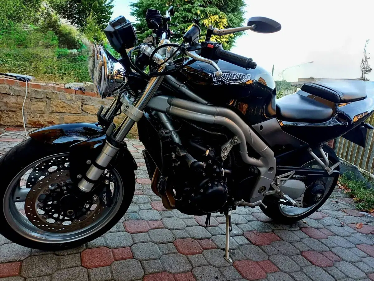 Triumph Speed Triple 955 (2002 - 04) (5)