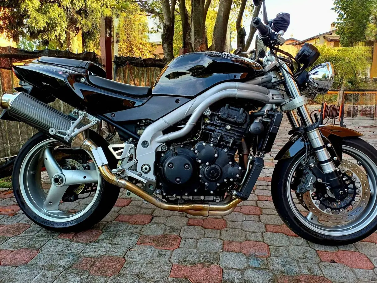 Triumph Speed Triple 955 (2002 - 04) (6)