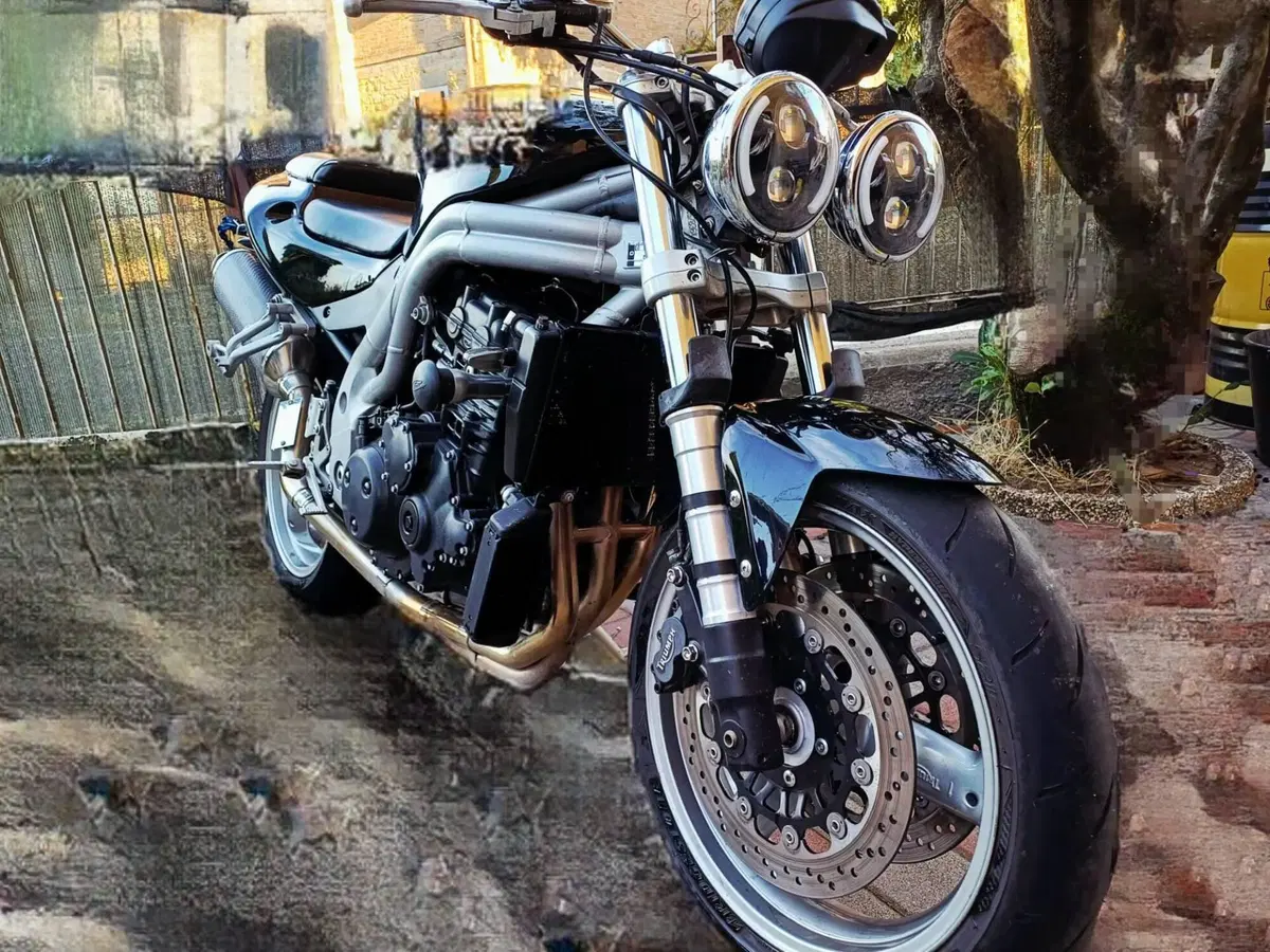 Triumph Speed Triple 955 (2002 - 04)