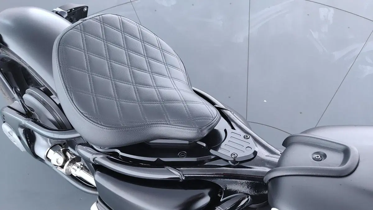 Bmw R 18 100 Years (2023) (10)